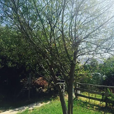 公寓式酒店 Lara Apart *