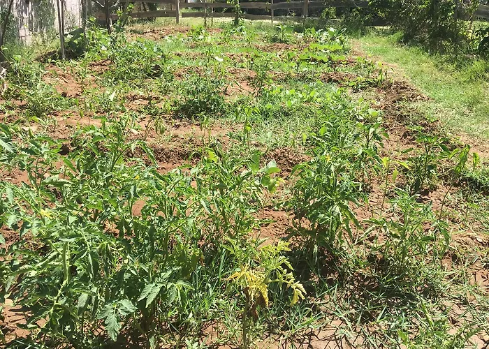 Lara Apart * פלמוטבוקו