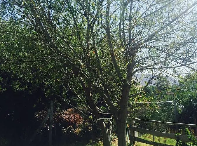 מלון דירות Lara Apart *